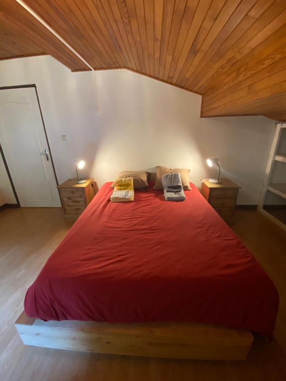 Logement mansarde dans maison avec jardin en bord de piste vue montagne appartement pied des pistes 8