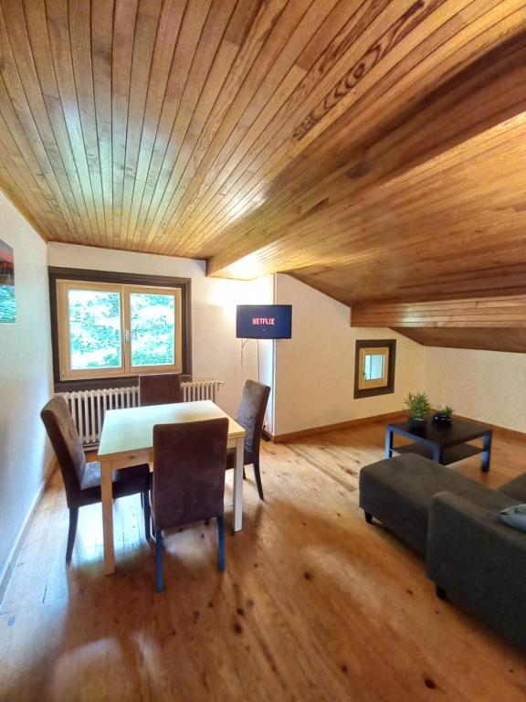 Logement mansarde dans maison avec jardin en bord de piste vue montagne appartement pied des pistes