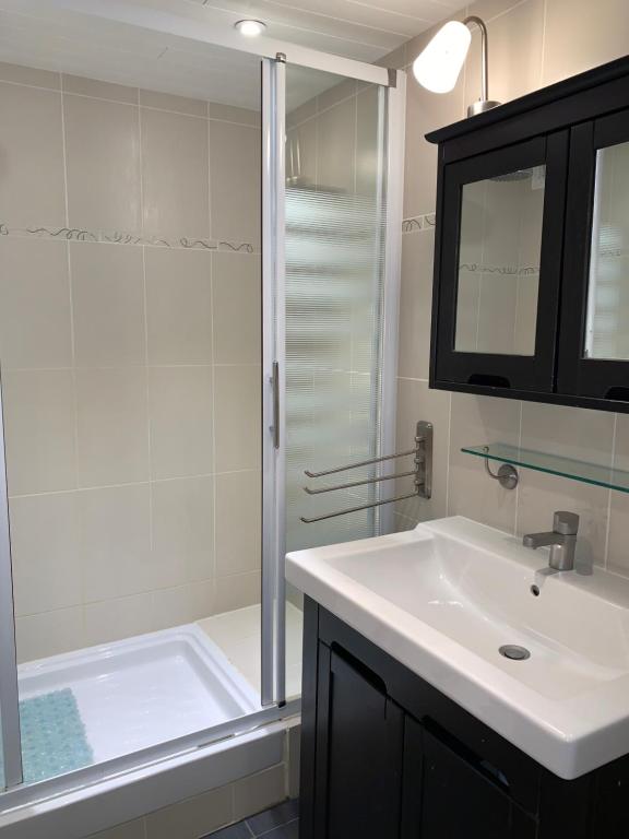 Lolympic appartement pied des pistes 7