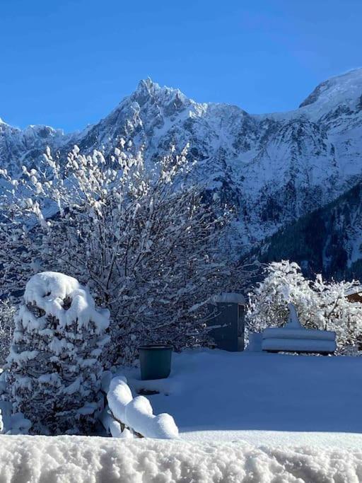 Lovely 4 bedroom apt ski in ski out with sauna appartement pied des pistes 17