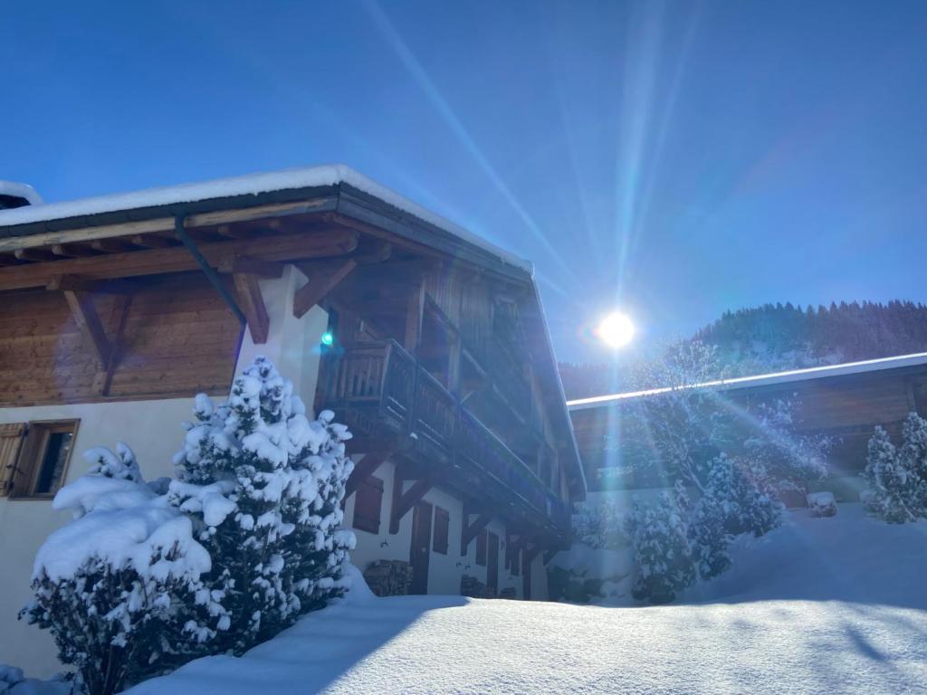 Lovely 4 bedroom apt ski in ski out with sauna appartement pied des pistes