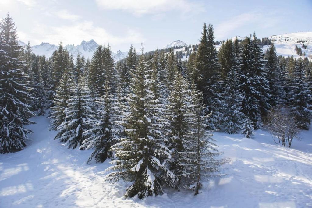 Luxury apartment near the slopes in Courchevel appartement pied des pistes 14