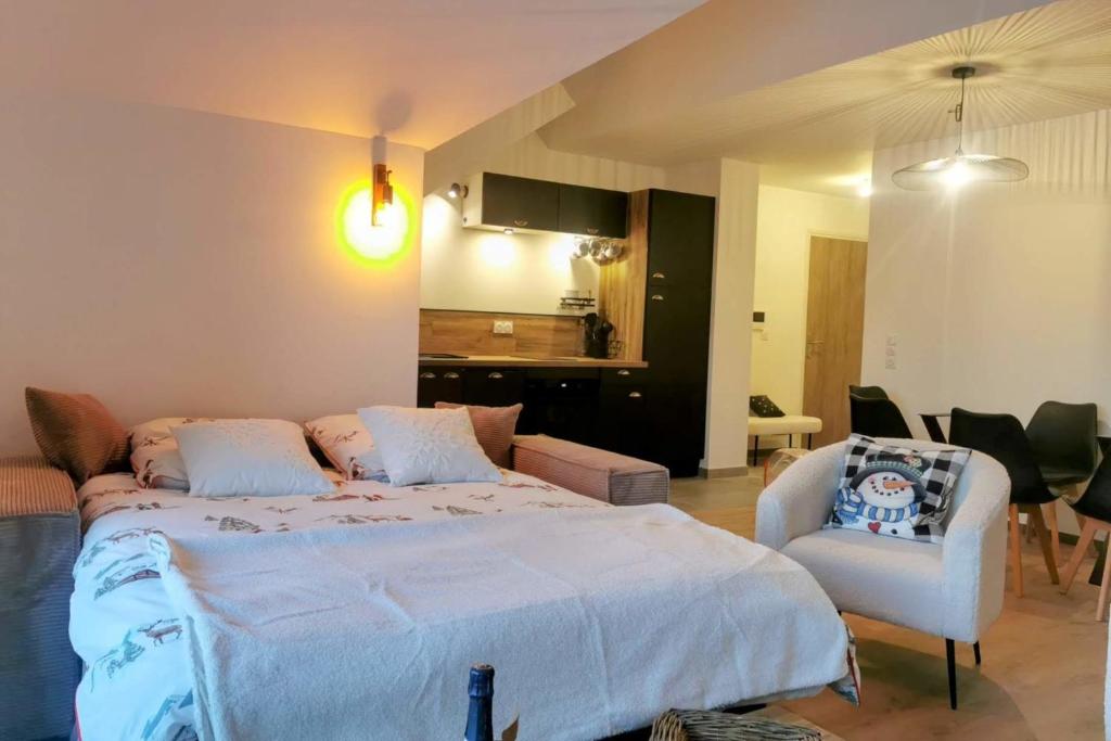 Magnifique appartement au pied des pistes Le trelod gite pied des pistes 13