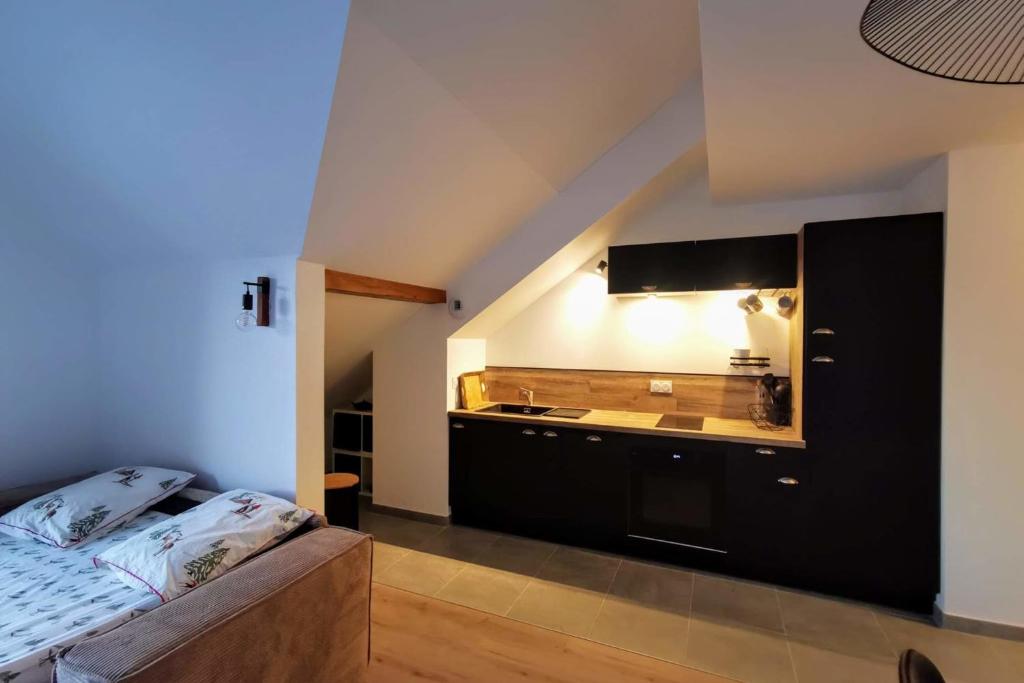 Magnifique appartement au pied des pistes Le trelod gite pied des pistes 17