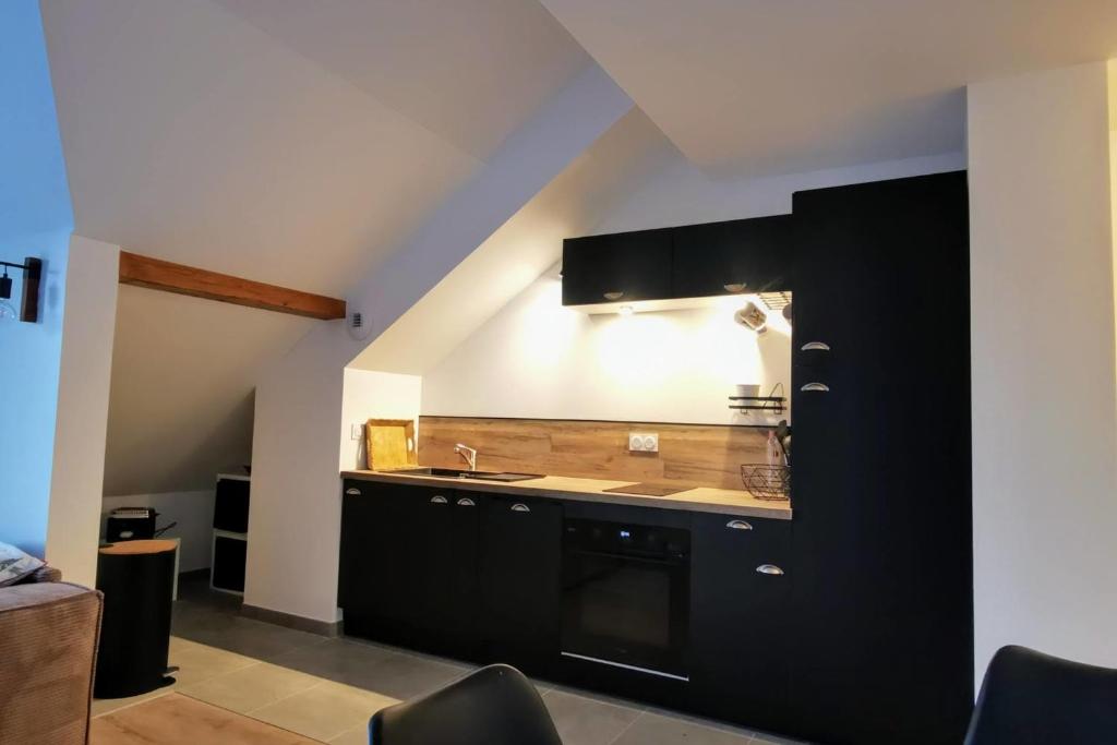 Magnifique appartement au pied des pistes Le trelod gite pied des pistes 6