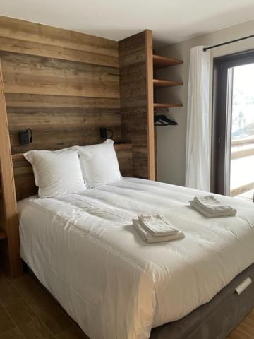 Magnifique chalet sur les pistes le Paradis cest la appartement pied des pistes 1
