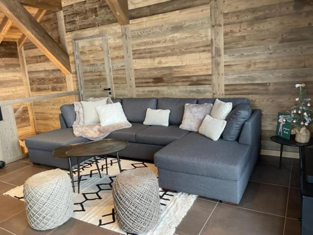Magnifique chalet sur les pistes le Paradis cest la appartement pied des pistes 13