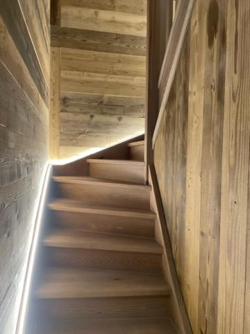 Magnifique chalet sur les pistes le Paradis cest la appartement pied des pistes 9