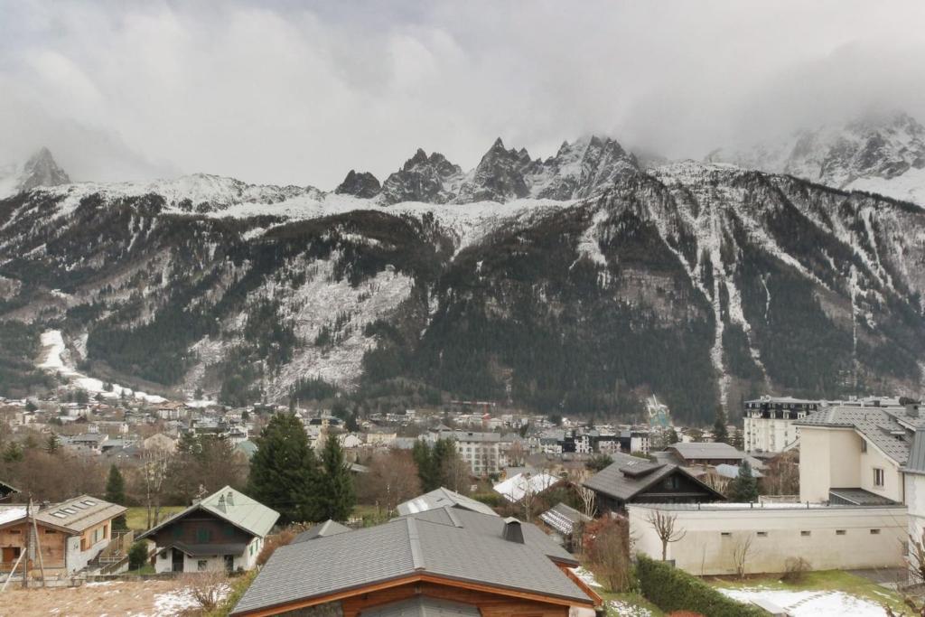 Makalu View Mont Blanc Chamonix Center 8 pers appartement pied des pistes 14