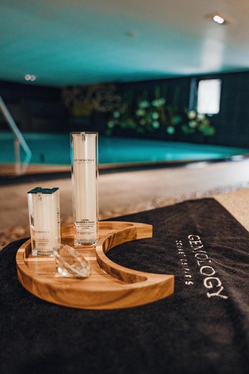Manali Lodge by Alpine Resorts appartement pied des pistes 2