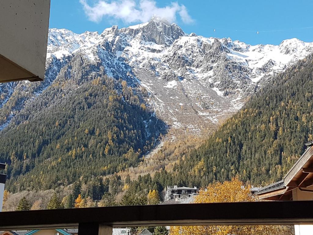 Meilleur emplacement hypercentre avec parking privatif souterrain appartement pied des pistes