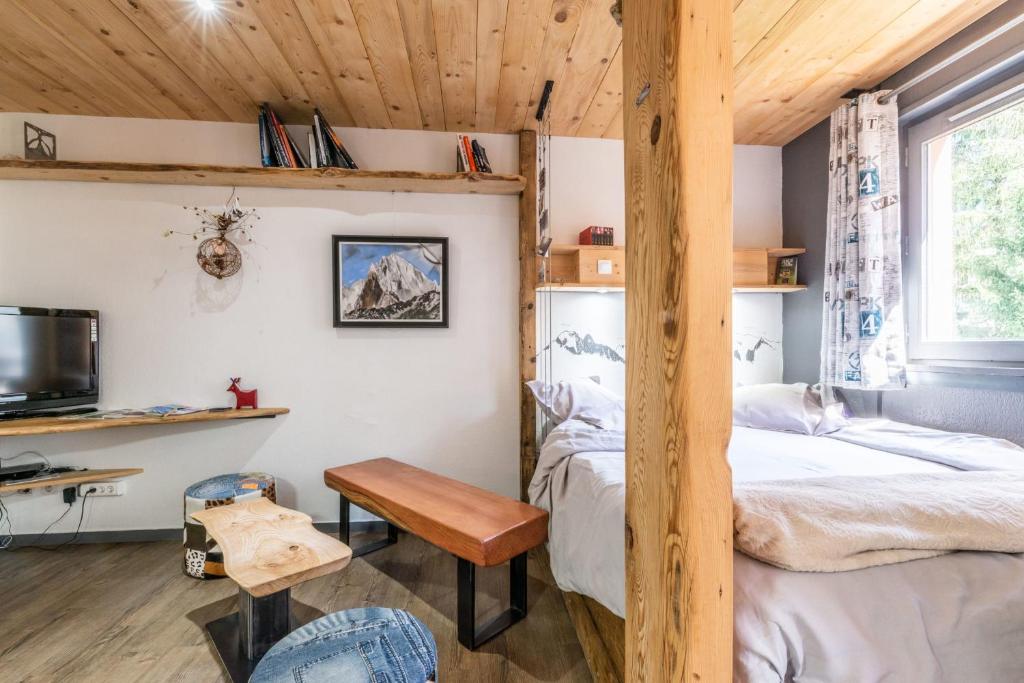 Modern Apt with Mont Blanc view appartement pied des pistes 13