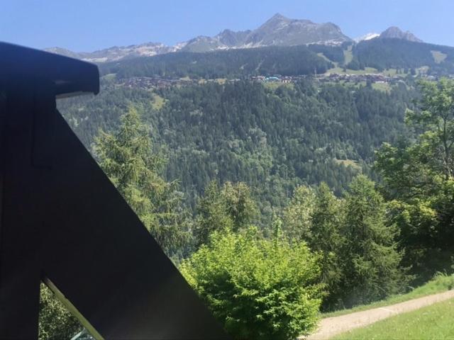 Montchavin Les Cotes vue Mont Blanc appartement pied des pistes 12