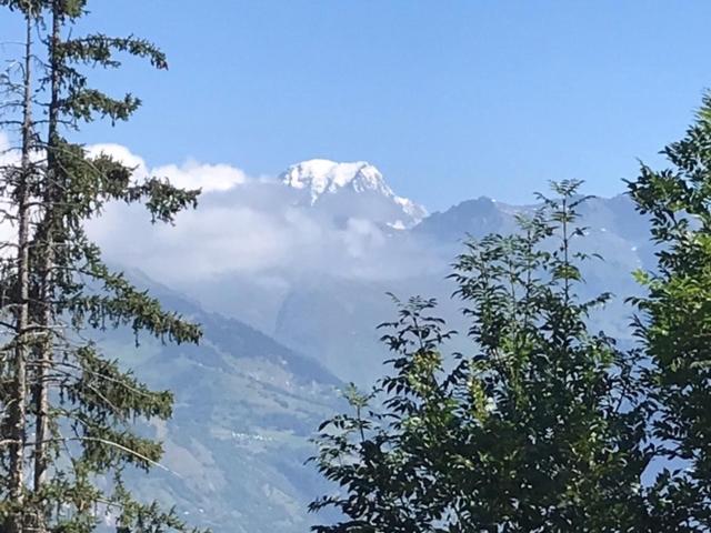Montchavin Les Cotes vue Mont Blanc appartement pied des pistes 14