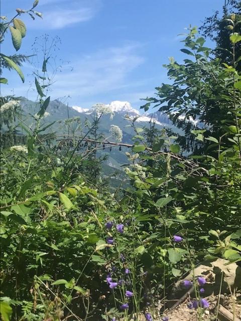 Montchavin Les Cotes vue Mont Blanc appartement pied des pistes 19