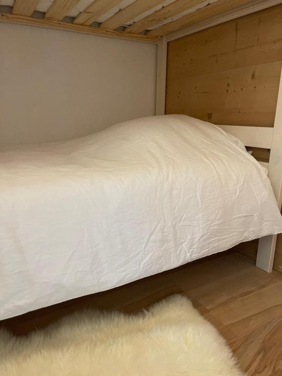 Morzine bel appartement a 5 mn du telepherique appartement pied des pistes 11