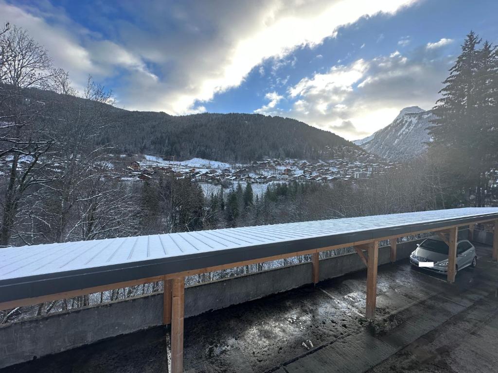Morzine bel appartement a 5 mn du telepherique appartement pied des pistes 14