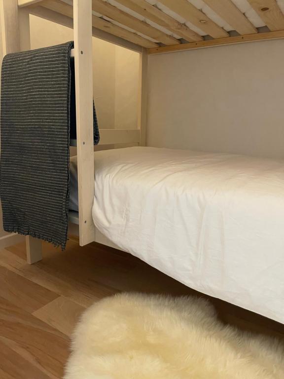 Morzine bel appartement a 5 mn du telepherique appartement pied des pistes 6