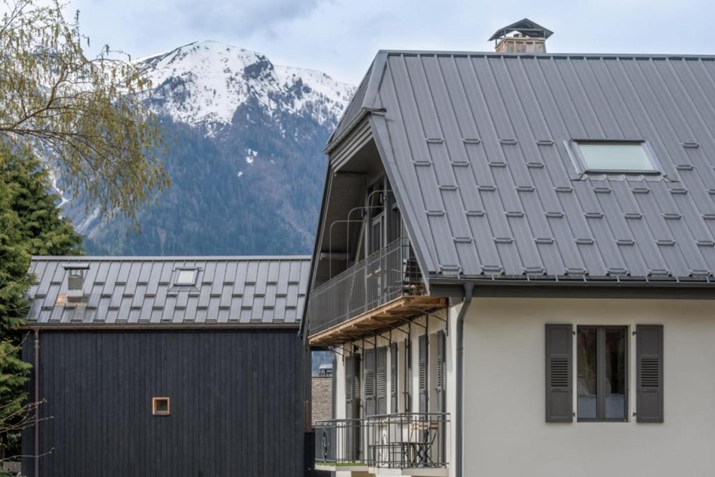 Newly renovated apartment with Mont Blanc view appartement pied des pistes 10