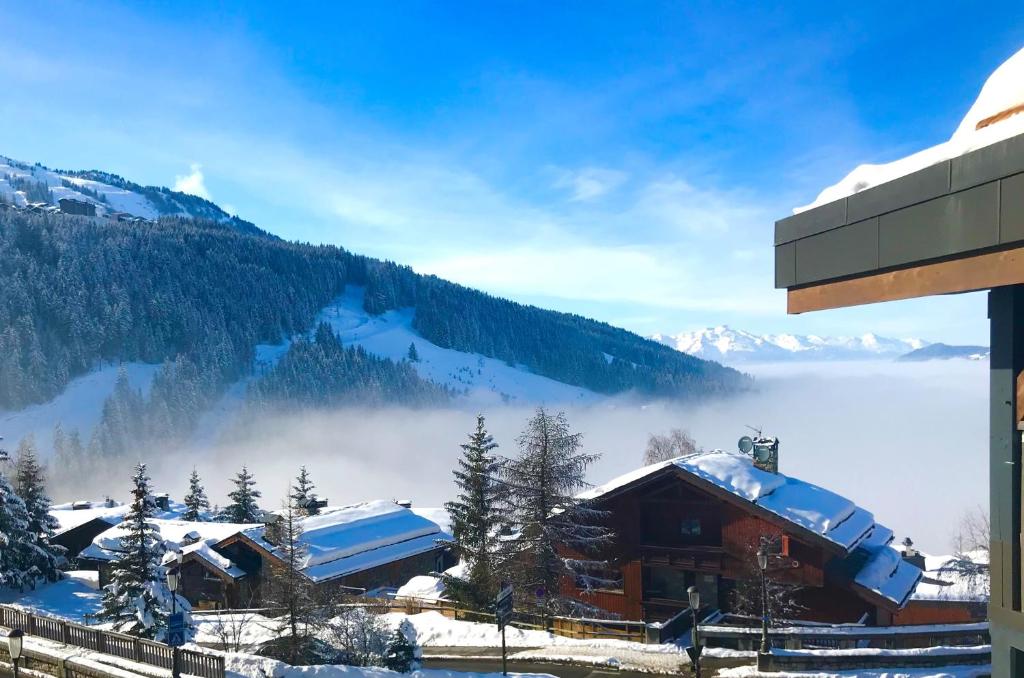 Penthouse lOurse Bleue Sauna privatif acces direct aux pistes appartement pied des pistes 18