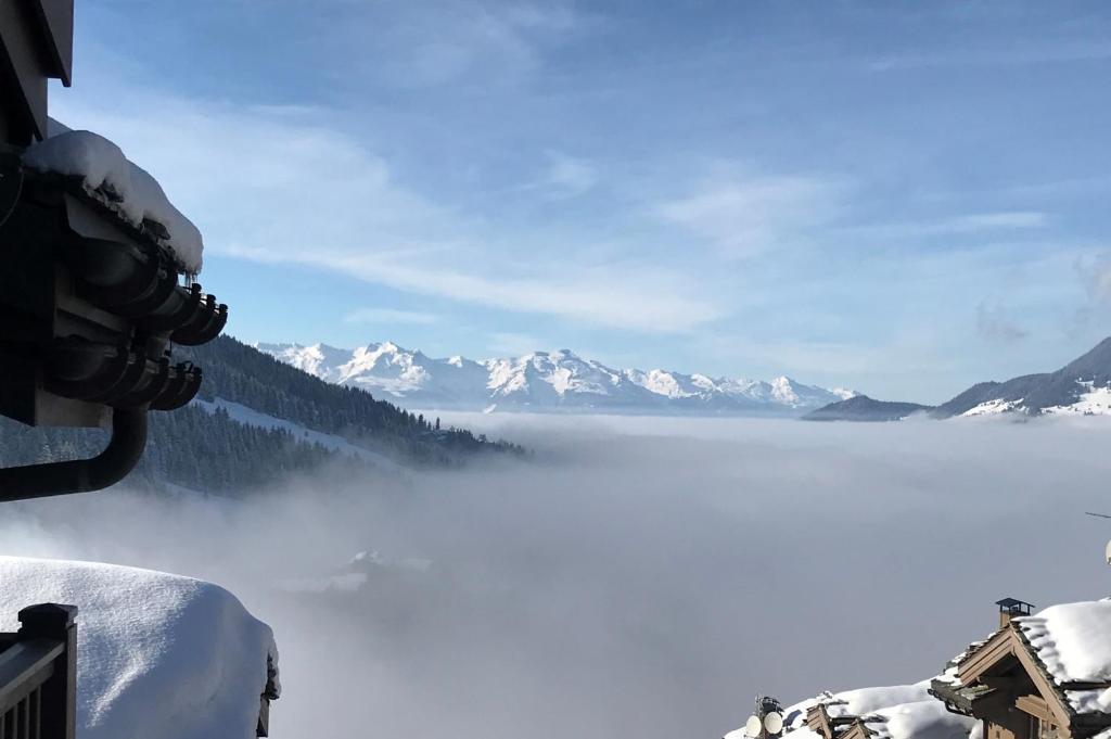 Penthouse lOurse Bleue Sauna privatif acces direct aux pistes appartement pied des pistes 2
