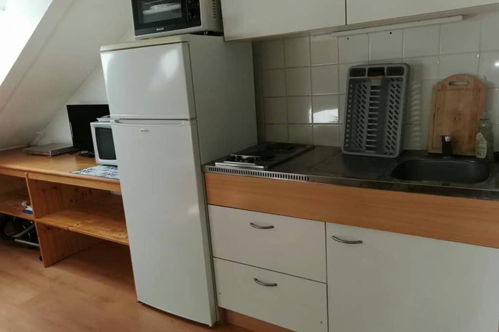 Petit studio mansarde 18 m2 avec navette gratuit aux pistes de ski appartement pied des pistes 12