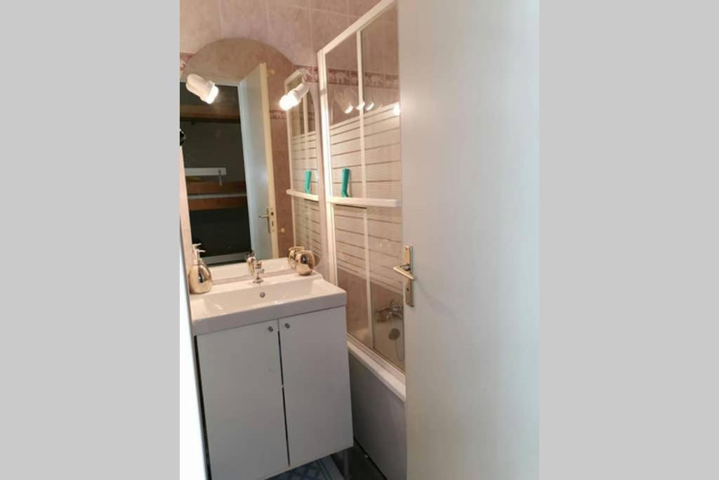 Petit studio mansarde 18 m2 avec navette gratuit aux pistes de ski appartement pied des pistes 2