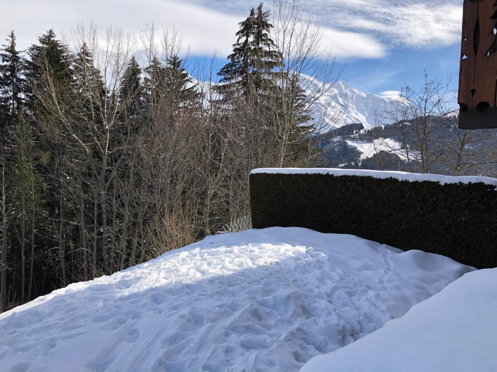Petite Marmotte appartement pied des pistes 11