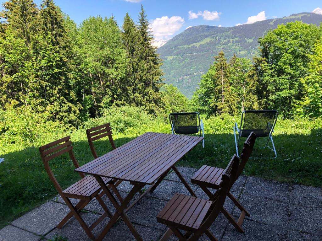 Petite Marmotte appartement pied des pistes 7