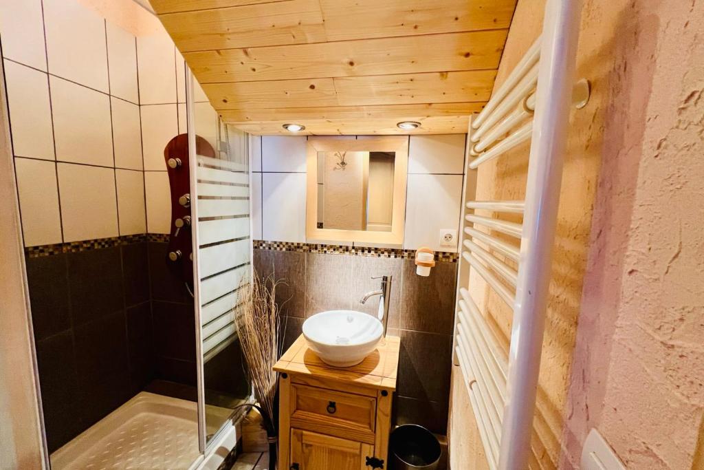 Pleasant cocoon at the foot of the slopes appartement pied des pistes 5