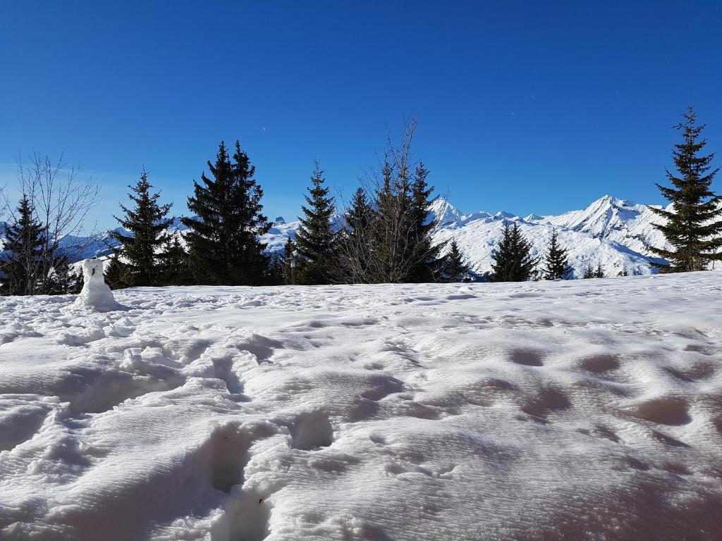 Premium Les Alpages de Chantel appartement pied des pistes 8