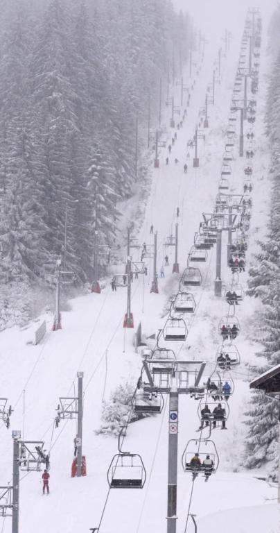 Pretty ski nest in Gerardmer appartement pied des pistes 7