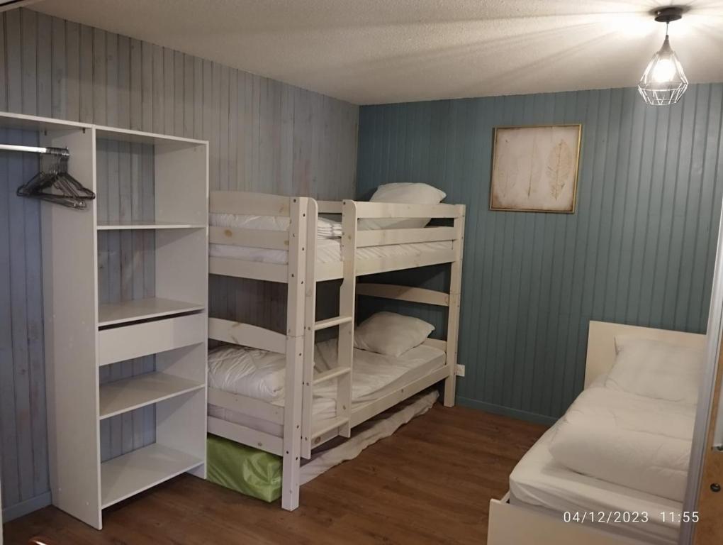 Proches des pistes F2 36m2 4 6 pers 2 etoiles appartement pied des pistes 1