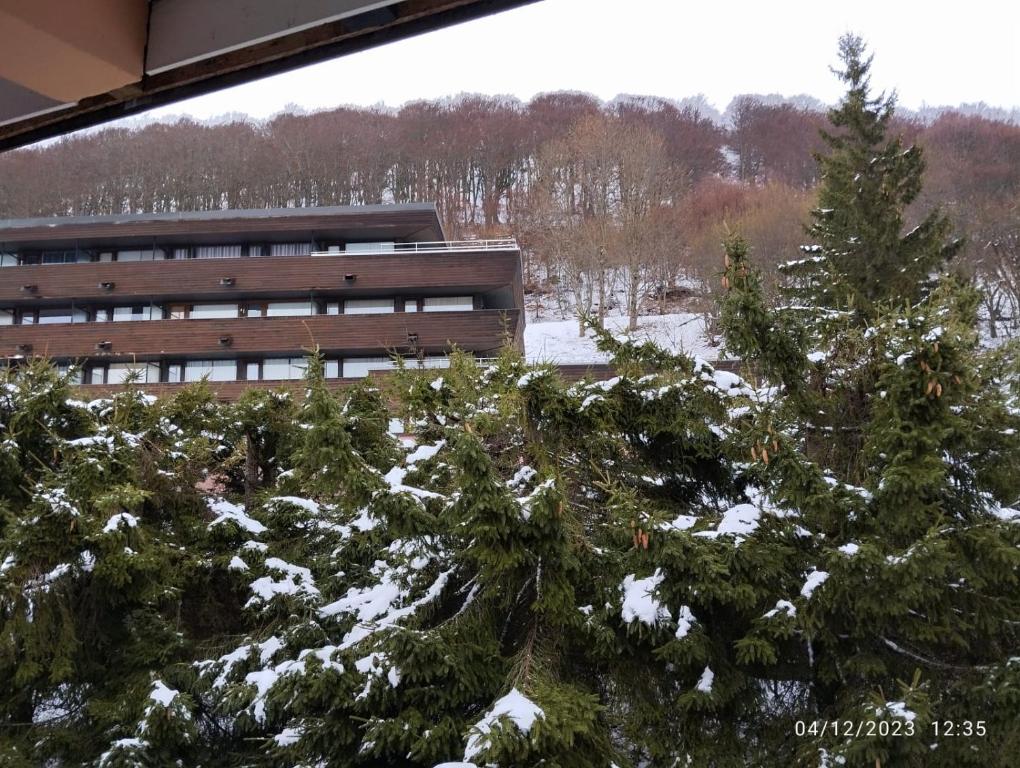 Proches des pistes F2 36m2 4 6 pers 2 etoiles appartement pied des pistes 14