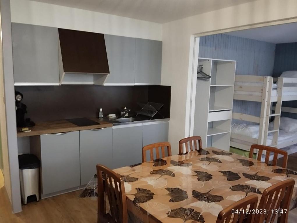 Proches des pistes F2 36m2 4 6 pers 2 etoiles appartement pied des pistes 3