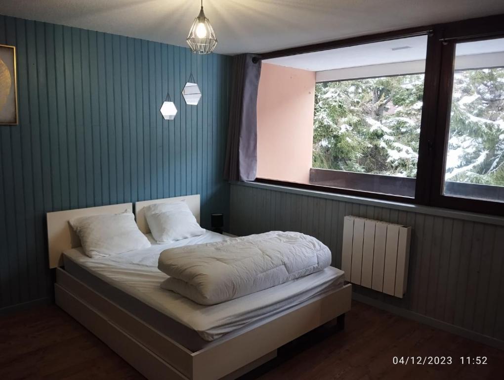 Proches des pistes F2 36m2 4 6 pers 2 etoiles appartement pied des pistes 5