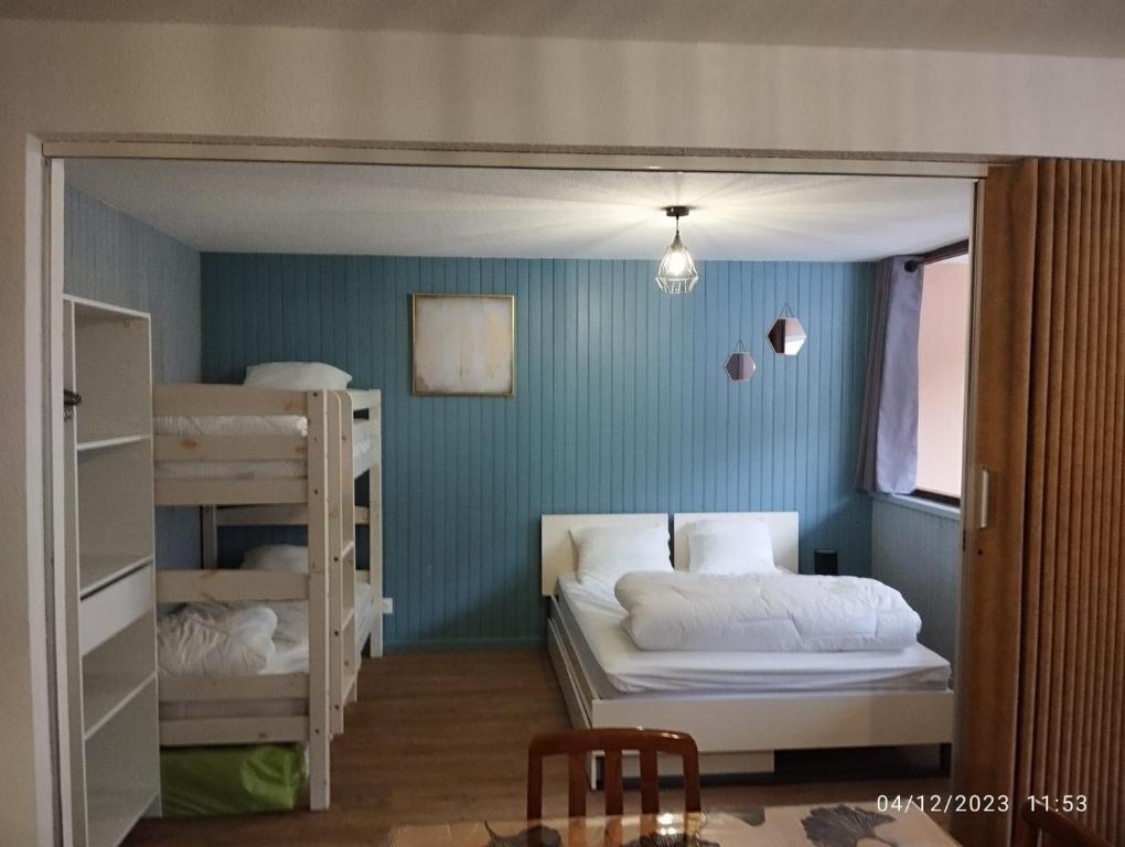 Proches des pistes F2 36m2 4 6 pers 2 etoiles appartement pied des pistes