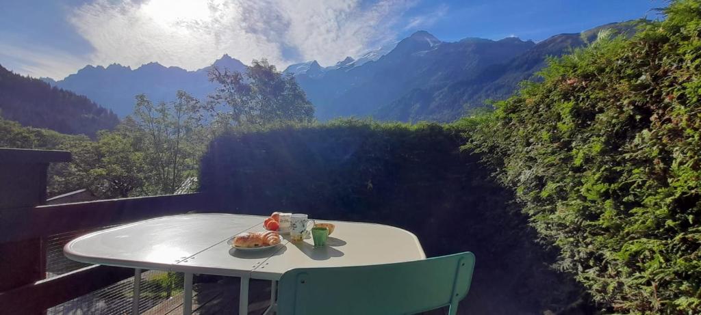 Rare pearl with incredible views appartement pied des pistes 16