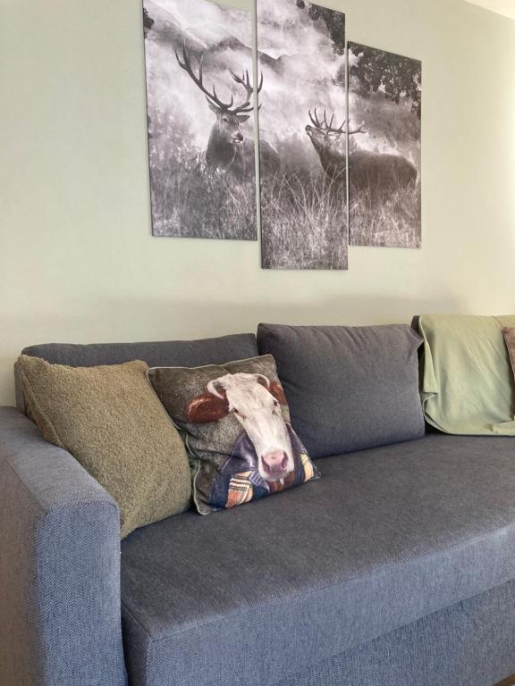 Renovated flat facing Mont Blanc appartement pied des pistes 15
