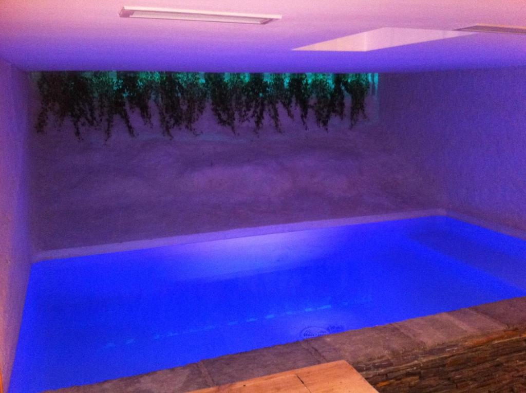 Residence Aqualiva a Valberg Piscine privative dans chacun des appartements situe a 20 m des pistes de ski hotel pied des pistes 7