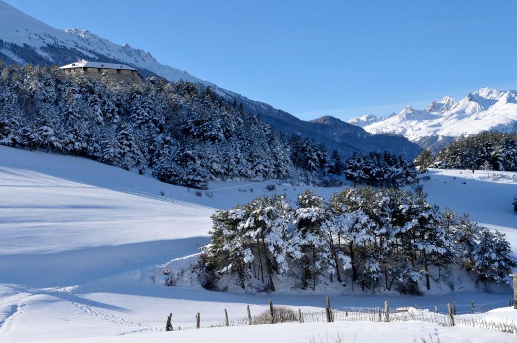 Residence Goelia Les Flocons dArgent hotel pied des pistes 17
