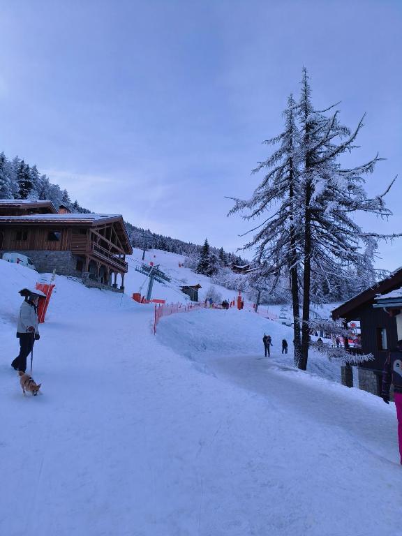 Residence Le Rami Les Coches La Plagne appartement pied des pistes 13