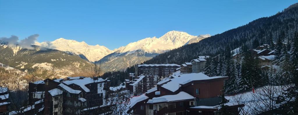 Residence Saboia Courchevel La Tania Belle Vue appartement pied des pistes 5