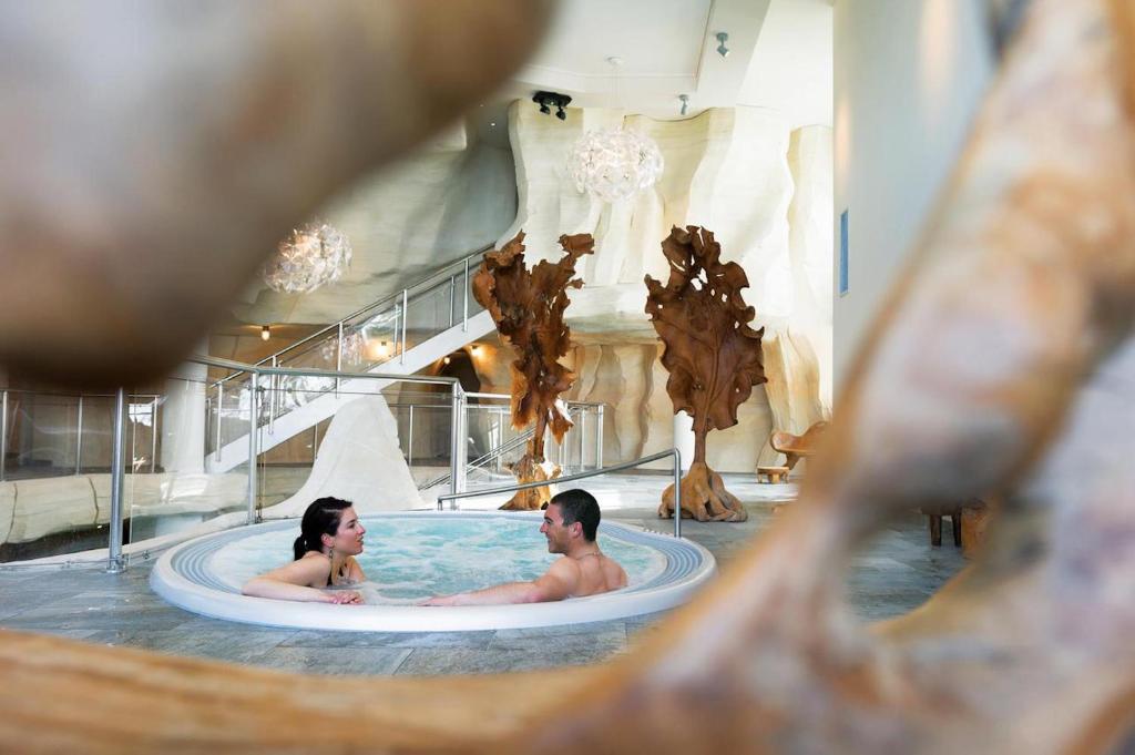 Residence Spa Les Sources de Marie Arc 1950 Le Village gite pied des pistes 13