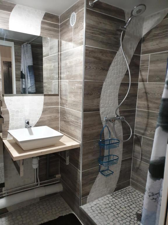 Residence azur sancy fibre orange appartement pied des pistes 2