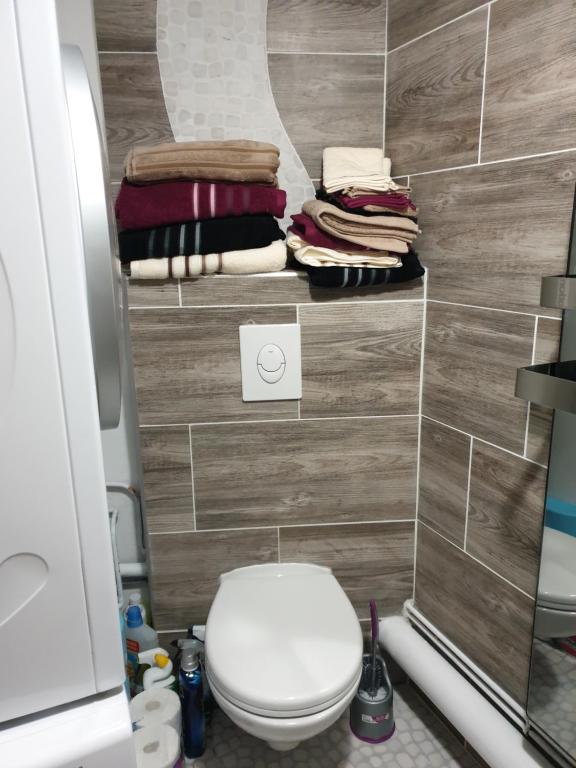 Residence azur sancy fibre orange appartement pied des pistes 7