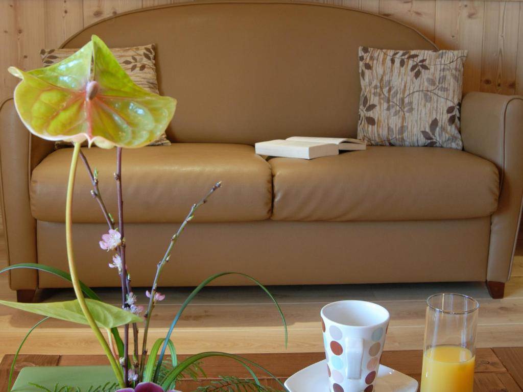 Residence lOxalys hotel pied des pistes 17