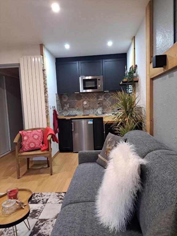 STUDIO 2 ALPES STYLE CHALET au PIED DE TELESIEGE DU DIABLE appartement pied des pistes 17