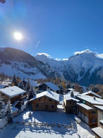 STUDIO 2 ALPES STYLE CHALET au PIED DE TELESIEGE DU DIABLE appartement pied des pistes