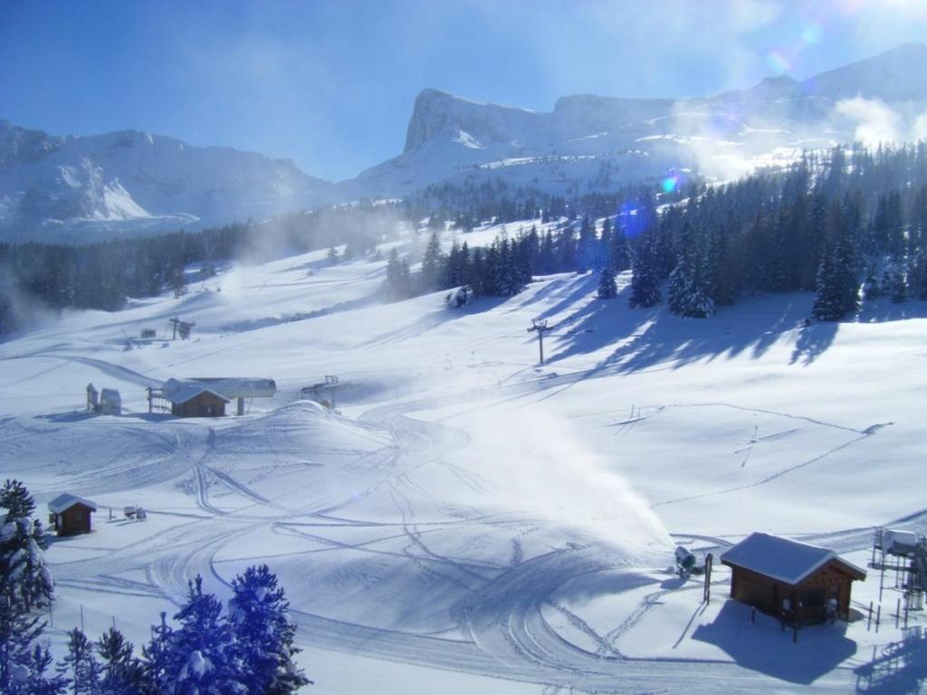 STUDIO AUX PIEDS DES PISTES appartement pied des pistes 16